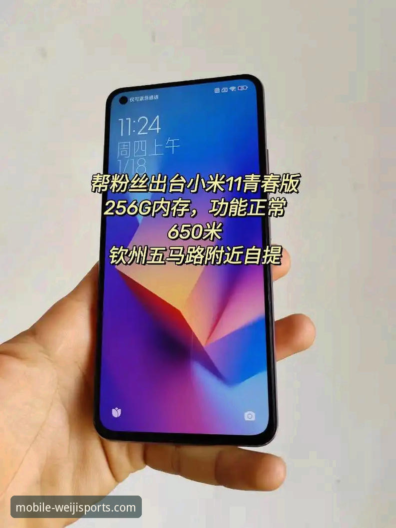 维基体育官方手机版 维基体育手机版2024使用详解与体验分享